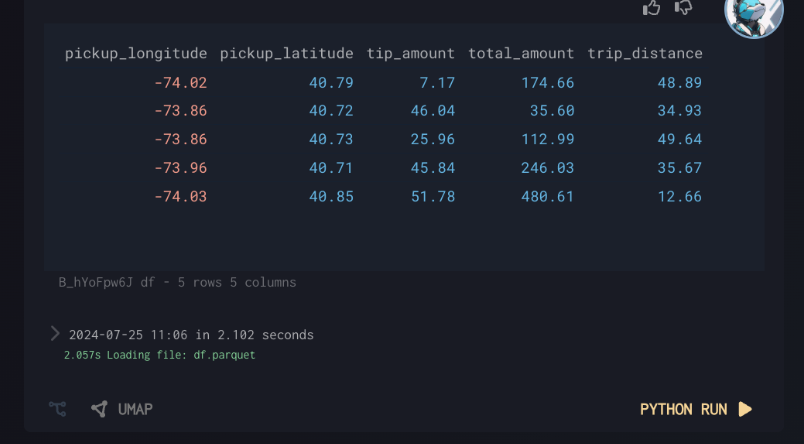 Python Run Output